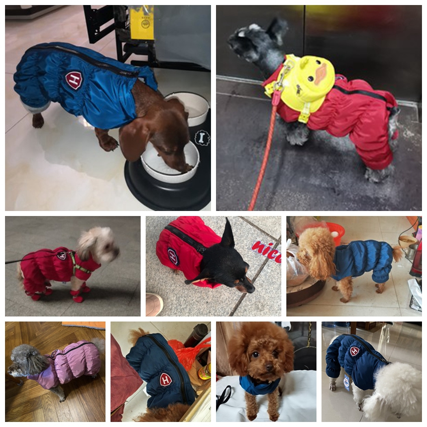 Cremallera nieve Unisex perro  - Baby Clothing Winter reseña y precio